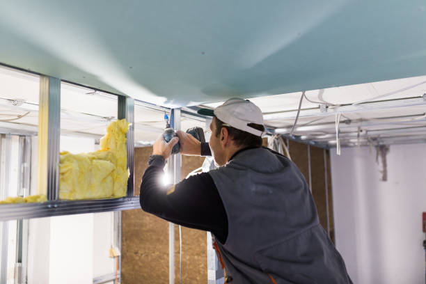 Best Insulation Inspection Services  in Sturgeon Bay, WI