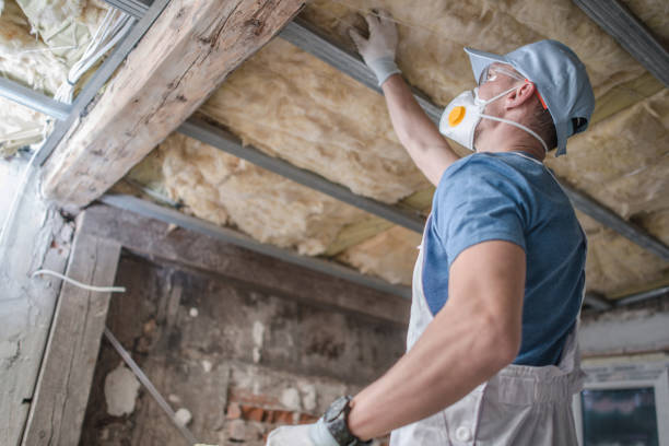 Best Local Insulation Services  in Sturgeon Bay, WI
