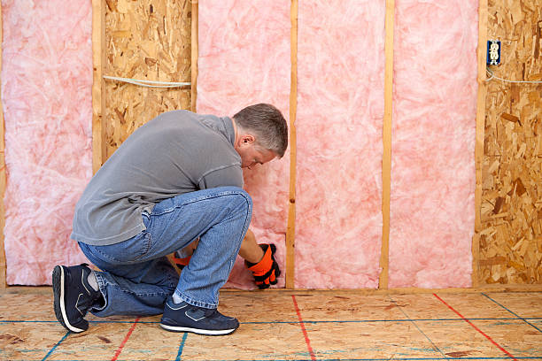 Best Blown-in Insulation  in Sturgeon Bay, WI