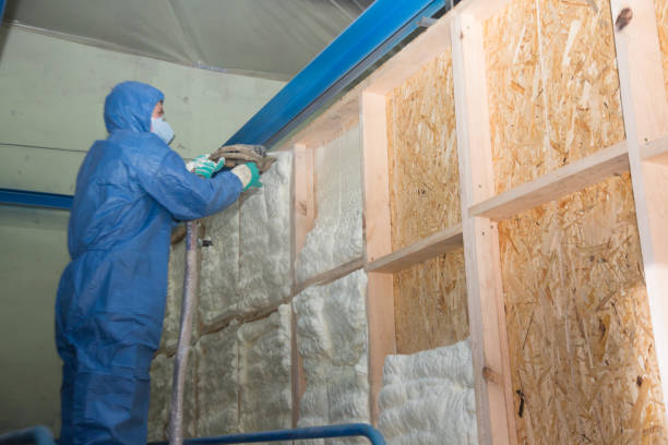 Best Insulation Contractor Near Me  in Sturgeon Bay, WI