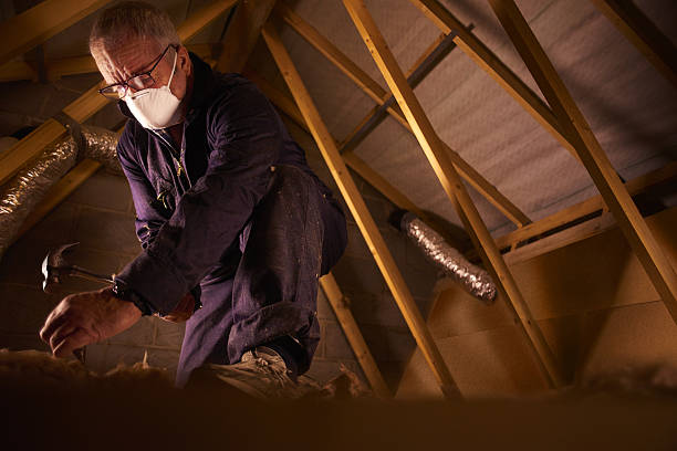 Best Crawl Space Insulation  in Sturgeon Bay, WI