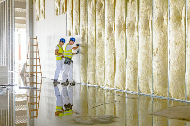Best Attic Insulation Installation  in Sturgeon Bay, WI